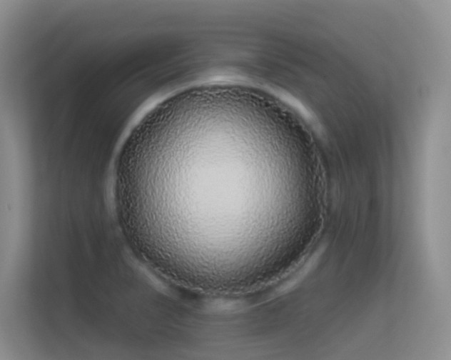 X0000113531374200909250857