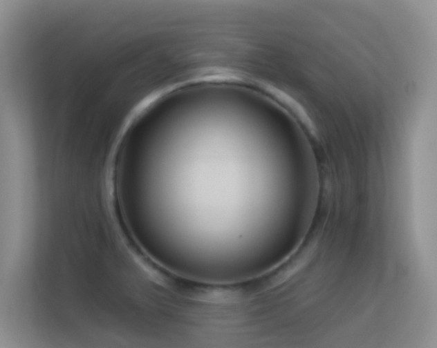 X0000113531375200909250857