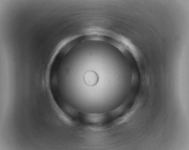X0000113531376200909250857