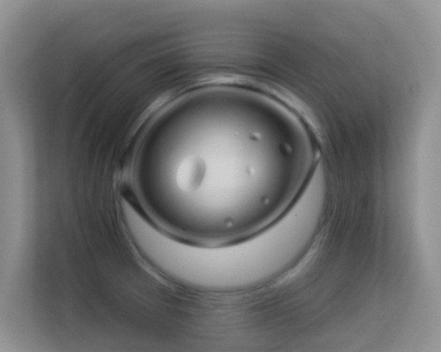 X0000113531377200909250857