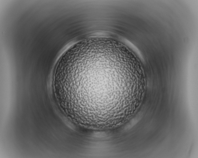 X0000113531378200909250857
