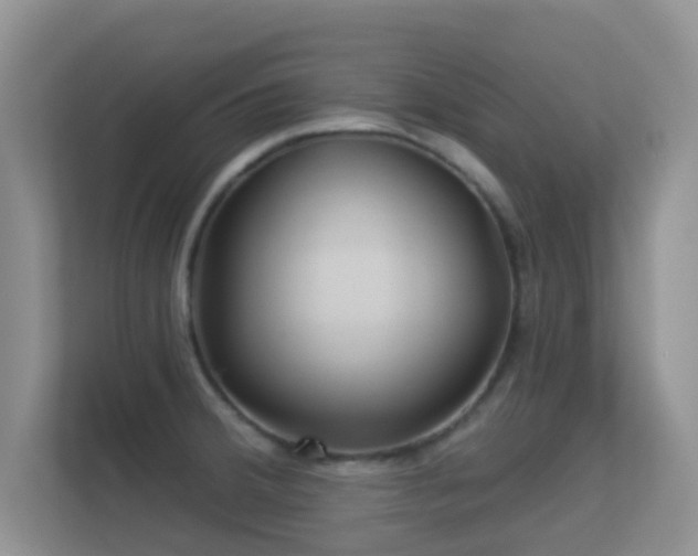 X0000113531380200909250857