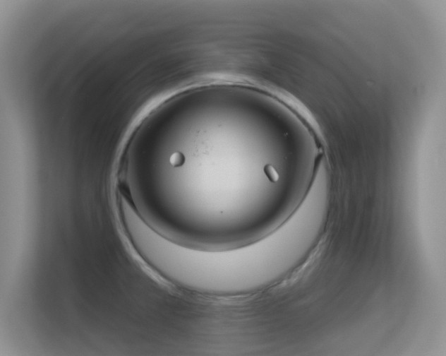 X0000113531381200909250857