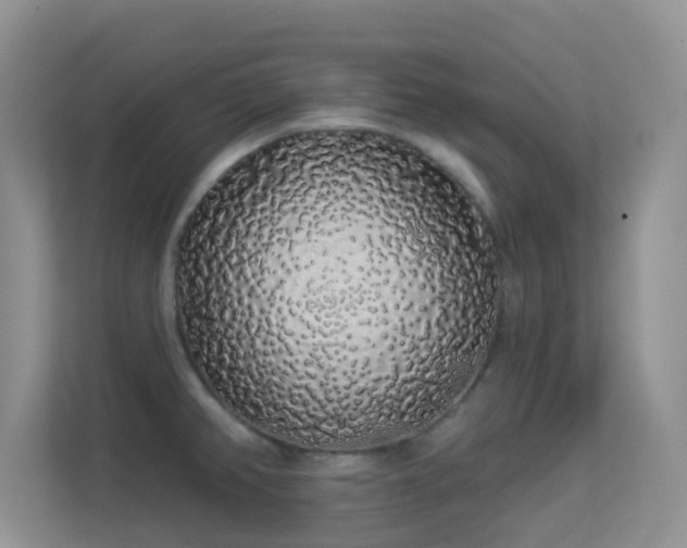 X0000113531382200909250857