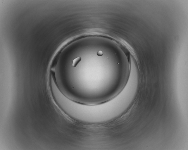 X0000113531384200909250857