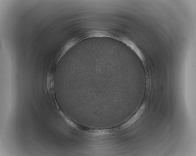 X0000113531385200909250857