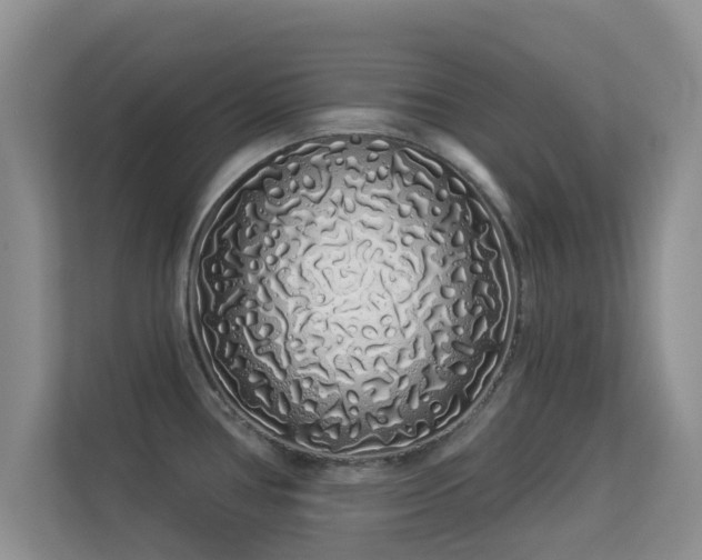 X0000113531386200909250857