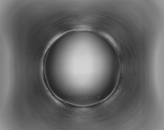 X0000113531387200909250857