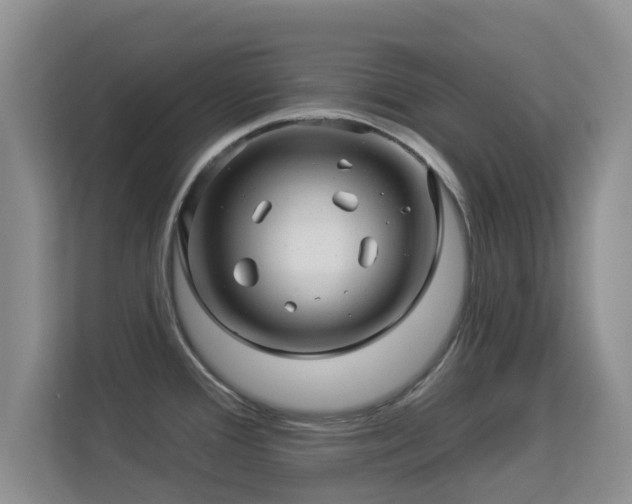 X0000113531388200909250857
