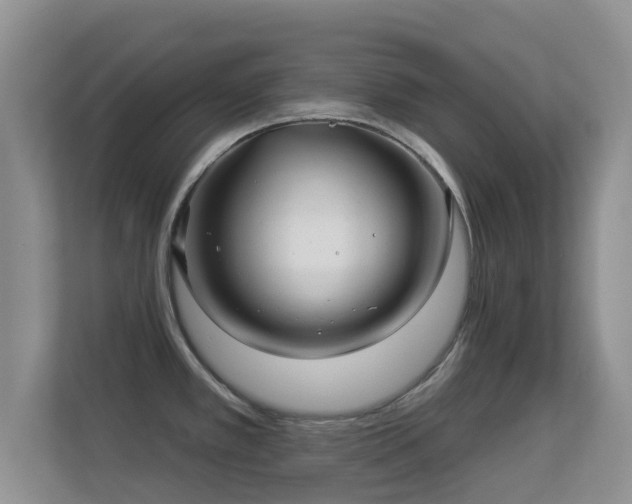 X0000113531389200909250857