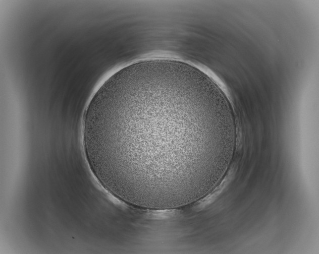 X0000113531390200909250857