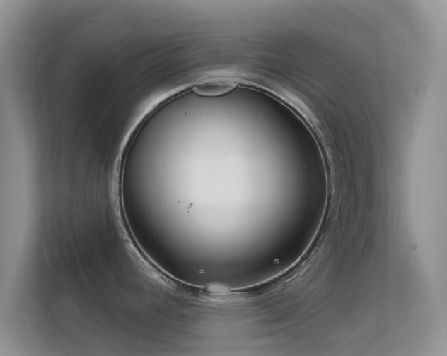 X0000113531392200909250857