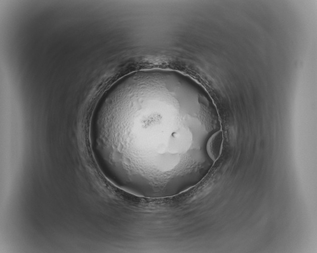 X0000113531393200909250856