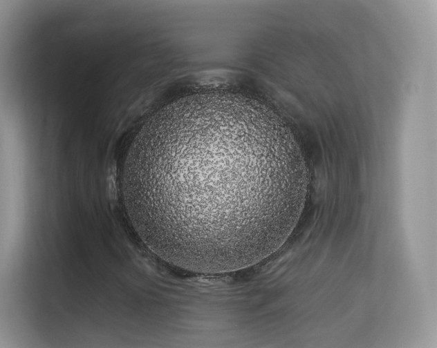 X0000113531394200909250856