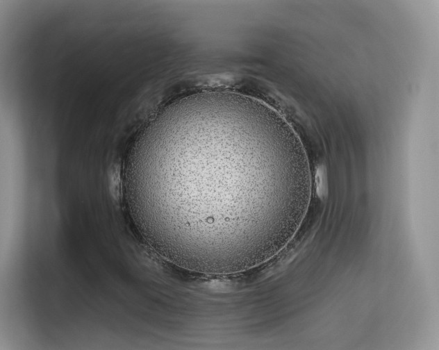X0000113531395200909250856