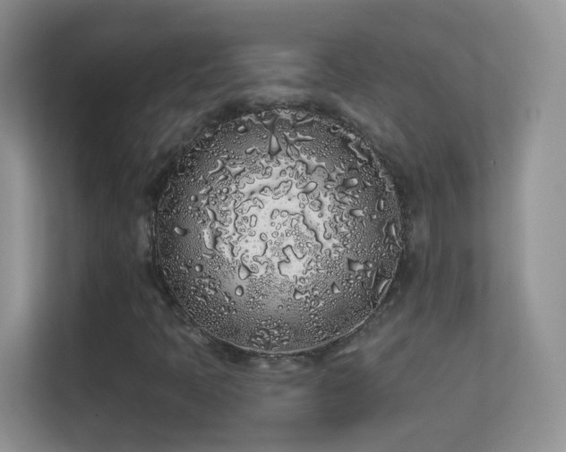 X0000113531397200909250856