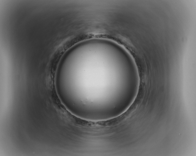 X0000113531398200909250856