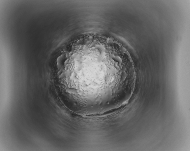 X0000113531399200909250856