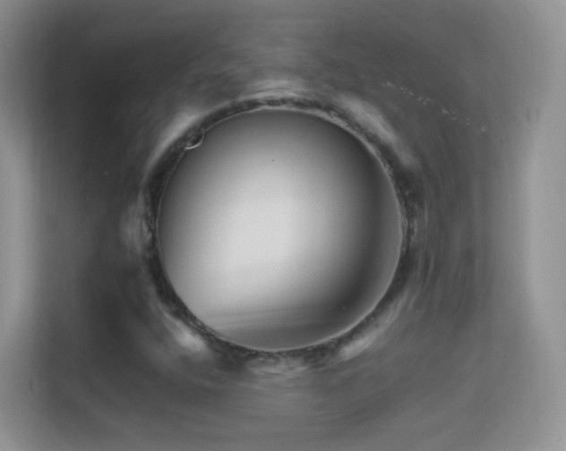 X0000113531400200909250856