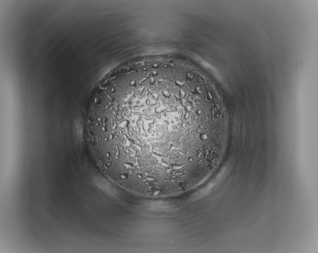 X0000113531401200909250856
