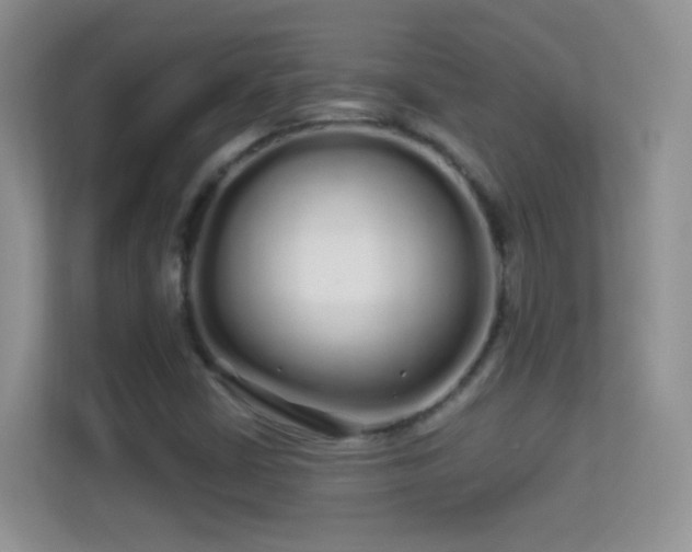 X0000113531402200909250856