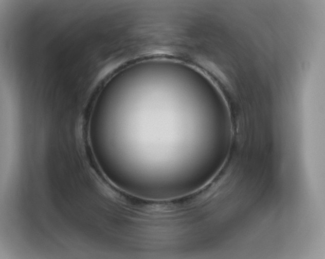 X0000113531404200909250856