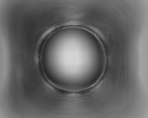 X0000113531406200909250856