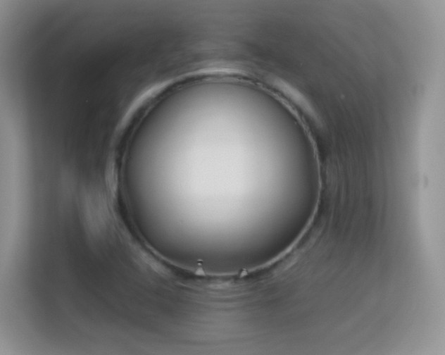 X0000113531408200909250857