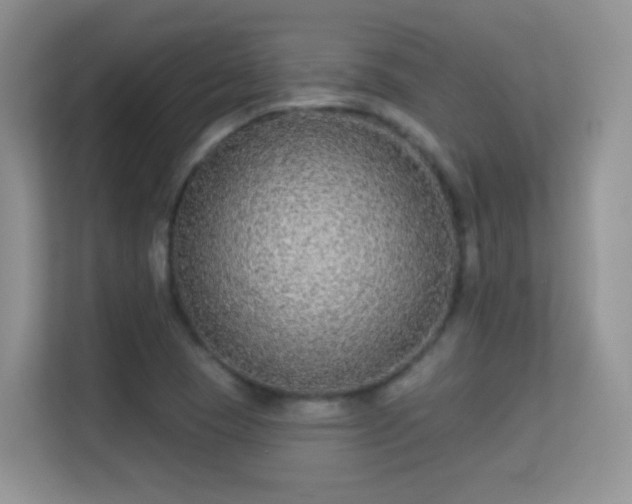 X0000113531409200909250857
