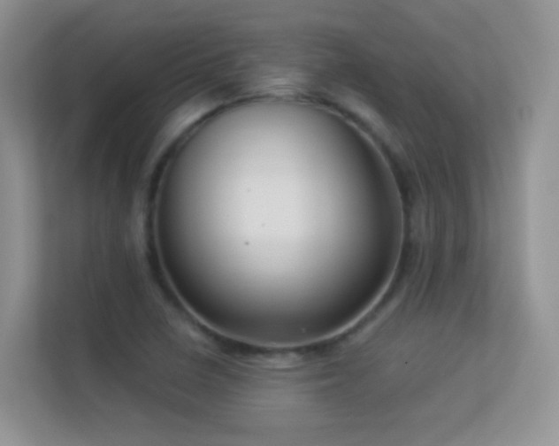 X0000113531410200909250857