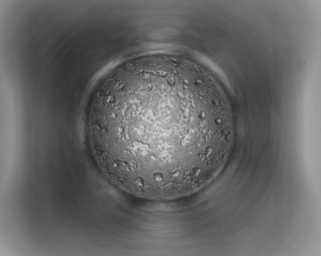 X0000113531411200909250857