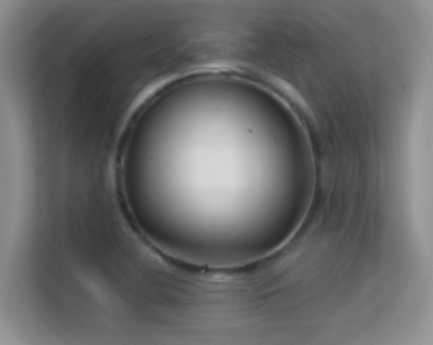 X0000113531412200909250857