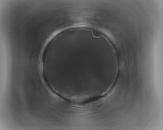 X0000113531414200909250857