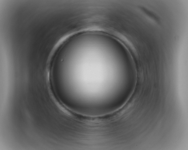 X0000113531416200909250857