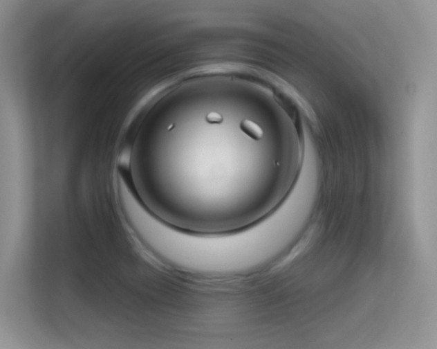 X0000113531417200909250857