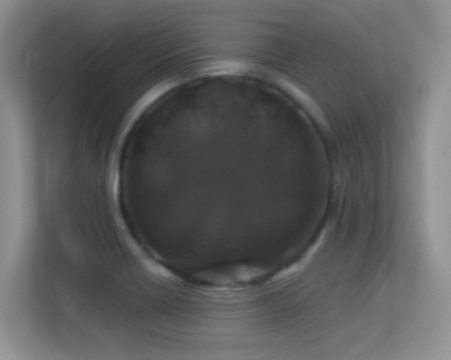 X0000113531418200909250857