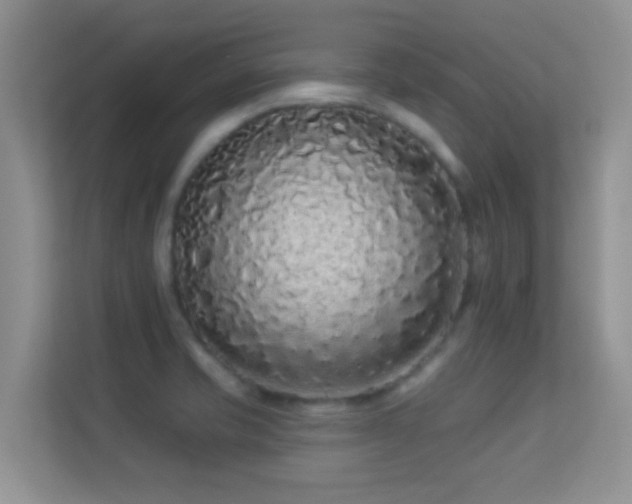 X0000113531421200909250857