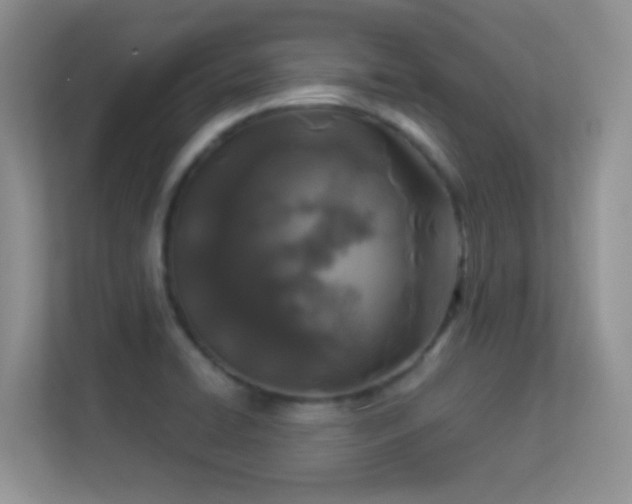 X0000113531422200909250857
