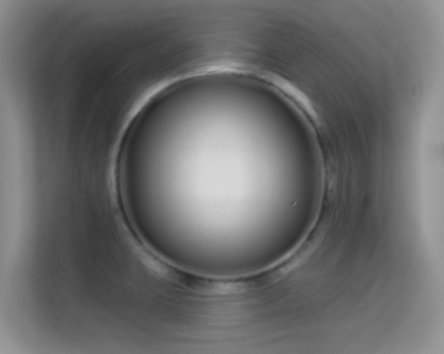 X0000113531423200909250857