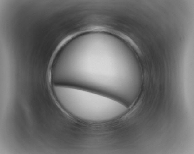 X0000113531424200909250857