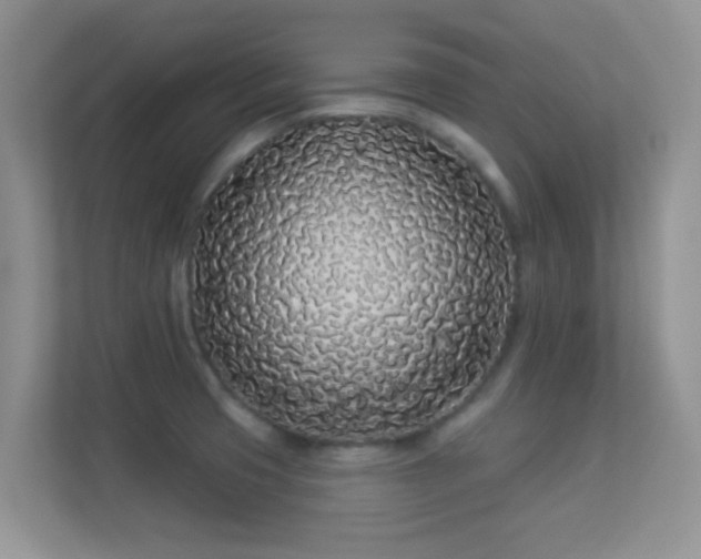 X0000113531425200909250857