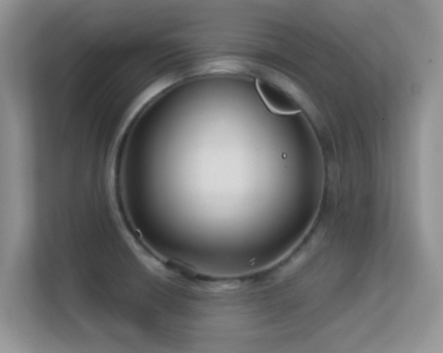 X0000113531426200909250857