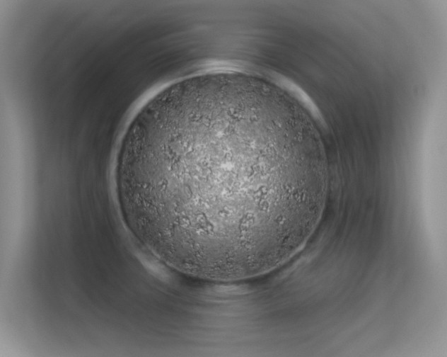 X0000113531427200909250857
