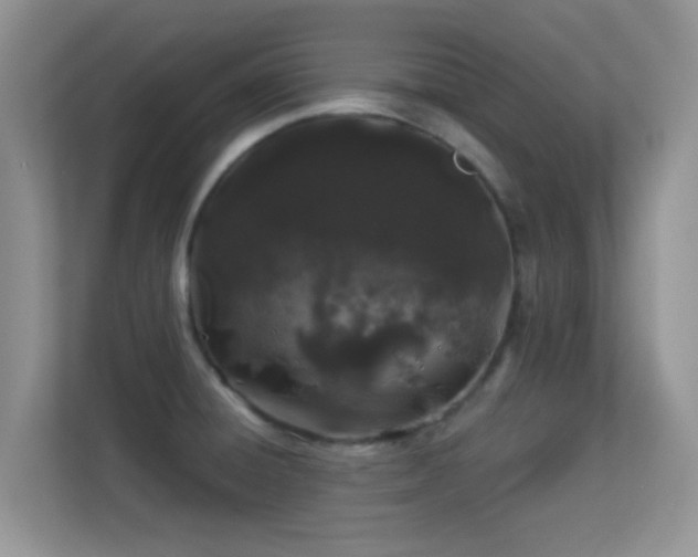 X0000113531428200909250857