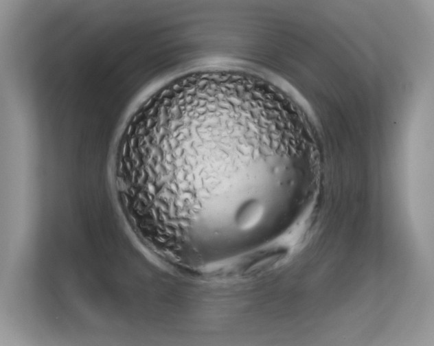 X0000113531429200909250857