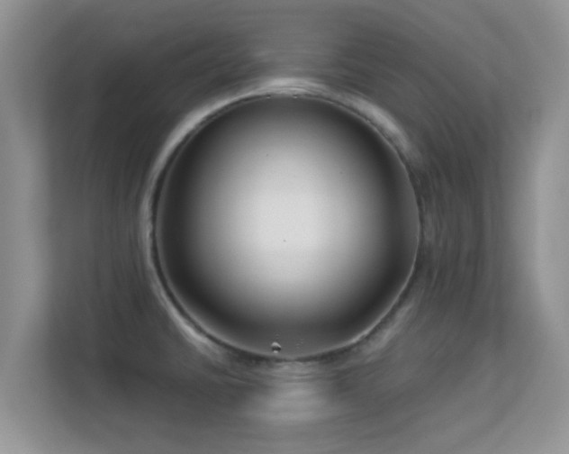 X0000113531430200909250857