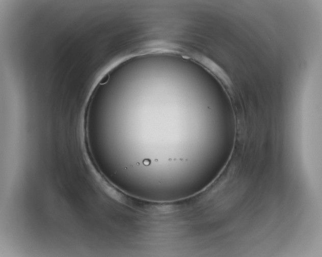X0000113531431200909250857