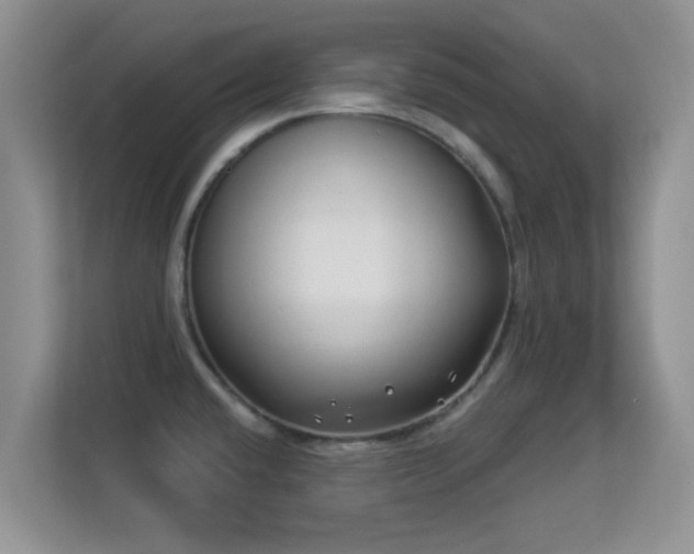X0000113531432200909250857