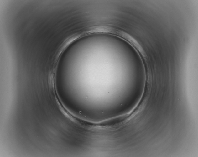 X0000113531433200909250857