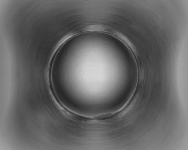 X0000113531434200909250857